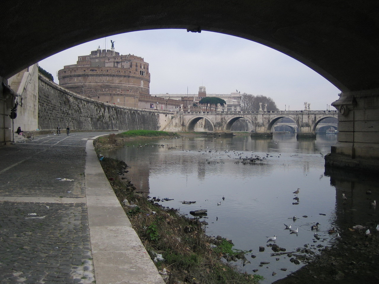 Roma